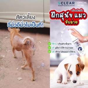 ฝึกสูงฟ้า หมา แมว ถัดไปเมื่อฝึกแมว เป็นไล่สูงหรือลูกหมา 120 ML