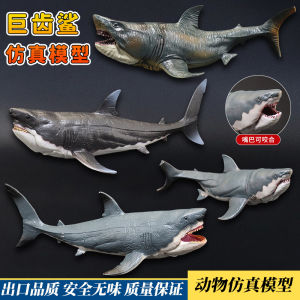 โมเดลสัตว์ประหลาดยุคก่อนประวัติศาสตร์ขนาดใหญ่ โมเดลสัตว์ประหลาดทะเลลึก โมเดลสัตว์ประหลาดรูปฉลามสีขาวขนาดใหญ่ ของเล่นสำหรับเด็ก