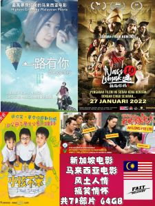 02 新马两地中文电影马来西亚电影/新加坡电影带岀风土人情/搞笑情怀 NASI LEMAK/一路有你/吓到笑/钱不够用/阿炳/等等【共71部】马来西亚🇲🇾发货 USB3.0 MP4 64GB