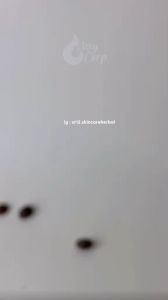 SR12 Sabun Pembersih Wajah Muka Cair Facial Wash Coffee SR12 100ml Sabun Kopi Cair Herbal BPOM