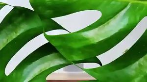 MeeGoo Smart Desktop Air Purifier HEPA Filter With Negative Ion Technology Eliminates Formaldehyde Odors Smoke And Dust Particles