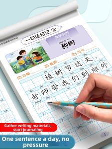 DISCO BEAR | Student Chinese Writing Practice Book for Sentence & Picture Composition