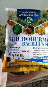 MEN Ủ TRICHODERMA BACILLUS HOÀNG KIM 25 TỶ BÀO TỬ/ KIỂM SOÁT NẤM BỆNH NẤM RỄ TRONG ĐẤT GÓI 1KG