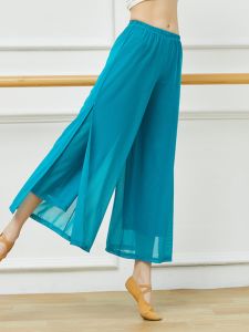 Classic Dance Trousers for Women Wide Leg Mesh Dance Pants Elegant Ethnic Style Modern Dance Costume by Co-research