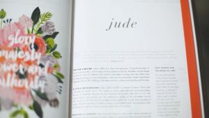 CSB She Reads Truth Bible (Deluxe Faux Leather) - Champagne Gold Leathertouch® with Beautiful Full-Color Pages Journaling Space and Devotionals for Women Mothers Wives Singles