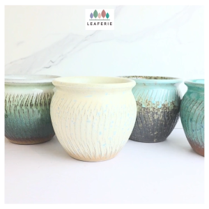 The Leaferie Astera plant pots. flowerpot . flowerpots . flower pot planter planters Ceramic