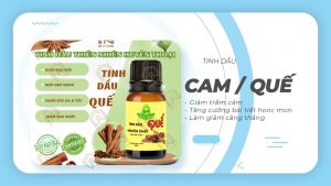(HCM) Tinh Dầu Quế Thiên Nhiên Nguyên Chất Huyền Thoại Xông Phòng Xua Tà Khí Kiểm Soát Mùi Thanh Lọc Không Khí - Ro Organic