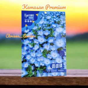 (KEMASAN PREMIUM) BIJI | BENIH BUNGA BABY BLUE EYES ( isi -+2.000 butir)