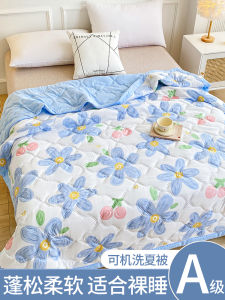 Non-Cotton Air Conditioner Quilt Summer Lightweight Washable Polyester Fiber Core Single Person Spring Autumn Season New 2025