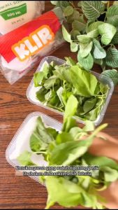 Kotak Makan Plastik Persegi 300ml & Tutup Thinwall: Anti Bocor & Klir Anti Pecah