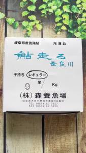 Cá Hương AYU Nhật Bản CÓ TRỨNG (size 9 con) 1KG - Cá Đông Lạnh