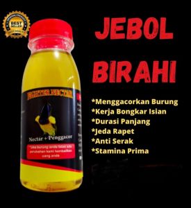 NEKTAR SOGON FIGHTER NECTAR