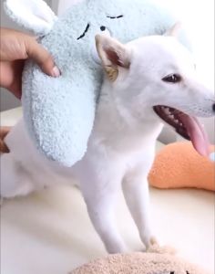 Pet Dog Cat Pillow and or Toy Washable Removable Cover