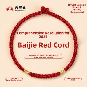 JIZHAOTANG | Good Luck Wristband
