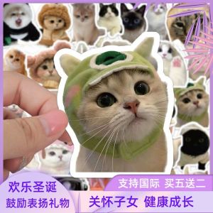 สติ๊กเกอร์แมว Adorable Cat Stickers 60 แผ่น ตกแต่งสัตว์เลี้ยง ความงาม ของเล่นสำหรับเด็ก วัสดุการ์ตูน ของรางวัล บันทึกการ์ตูน อเนกประสงค์