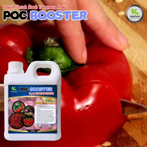 InterFarm POC Booster Pupuk Cair Premium untuk Paprika - Warna Kopi Multi-Pak Organik