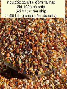 20 loại hạt k trộn bắp túi 1kg cho chim cu gáy ( ngũ cốc cho chim cu gáy)