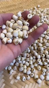 Hạt Sen Đồng Tháp Sấy Khô Nguyên Hạt Ngọt Bùi Tự Nhiên Set 100g