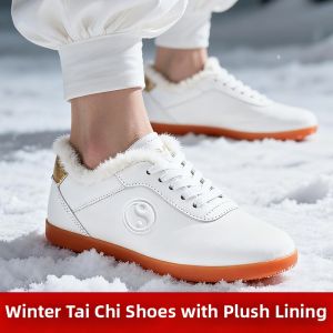 WUYINXIANG | Insulated Practice Tai Chi Shoes