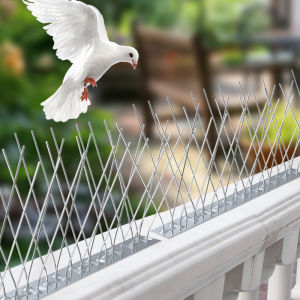 Bird Repeller Spikes Against Pigeons Scare Birds Outside Outdoor Repellent Anti Garden Supplies Dissuasore Gadgets Scarecaper