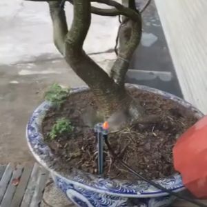 Combo 50 Cái Béc Bọ Tưới Cây Màu Cam Họng Phun 1.6 Ly