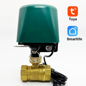 Tuya ZigBee Smart Wifi Water Valve Controller Timer Shut On/Off Automatic 12V 1A EU Plug Voice Control with Alexa Google Home