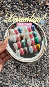 Majikku Aurora Powder ออโรร่าประกายแสง ผงออโรร่า ขัดได้ทุกพื้นสีเล็บ ขัดง่าย แถมแปรงขัด Dreamland Series