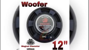Speaker Woofer 12 Inch Proton 12 30H120SRW38B