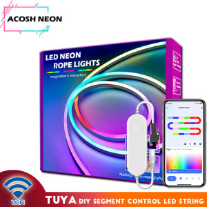 DC 12/24V Tuya RGBIC LED Neon Strip WiFi APP Control 1-10M RGBIC Lamp Tape Work With Alexa For Home dynamic Deocor Lighting