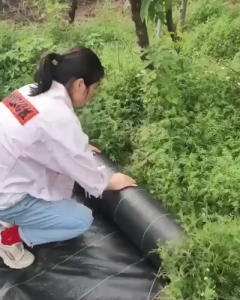 1M2M3M Weed Control Barrier Fabric Weeding Cloth Black Degradable Film Weed Block Gardening Mat
