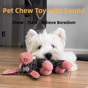Interactive Sound Squeaky Companion Chewing Dog Toy