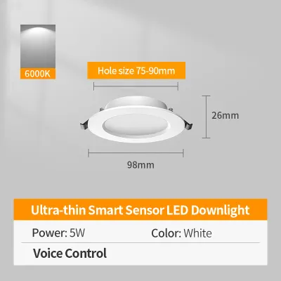 Intelligent Induction Downlight Recessed 5W/9W/12W/18W Motion Induction Downlight LED Ceiling Light Energy Saving Light