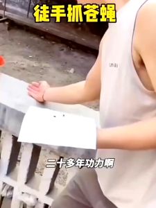 50pc Fly Catcher Glue Board ,Fly Trap Board Traps Fruit Flies Kitchen Sticky Glue Paper Fly Flies Trap Catcher Bugs Insects Catcher Board fly killer pamatay ng langaw