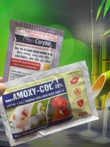 Bộ Amoxcotav và Trisulpha 100gram - bách bệnh đường ruột -amox 50% + sulfamono