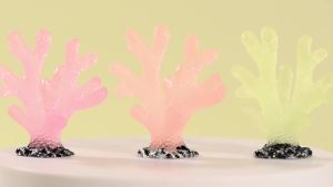 Rạn San Hô Dạ Quang Đẹp Mắt Phổ Biến Tô Điểm Không Gian Thực Vật Sống Dưới Nước