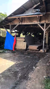 Speaker SUBwoofer 12inch (PASIVE) ADX Delta Poting Max 400watt Doble Coils Universal