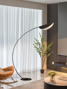 AOMAO | In Style Bedroom & Living Room Floor Lamp