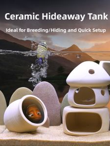 DABINGYANG | Aesthetic Shelter Fish Tank Decor