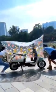 COVER SARUNG PENUTUP MOTOR & SEPEDA LISTRIK TRANSPARAN - Vario Beat Mio Motif Karakter Dino Bunga Kucing Lucu Sarung Sepeda Indoor Outdoor Anti Air Waterproof