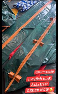 8x2x1feet high quality pang umpisa CRAYFISH TANK FISH TANK