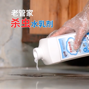 Laoguanjia Sewer Pipe insecticide Kill small flying insects toilet pipe anti-flying insects moth midges 1000ML老管家杀虫水乳剂