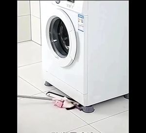 4PCS Adjustable Rubber Washing Machine Feet Pads: A Comprehensive Guide