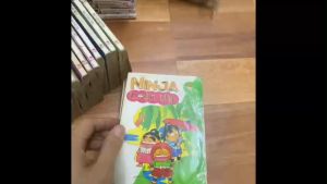 Bộ vở Ninja loạn thị