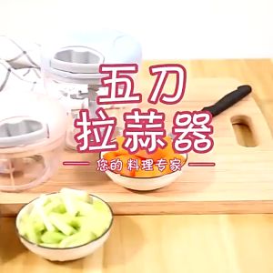 Pull Vegetable Chopper Hand Pull Vegetable Onion Chopper Mini Garlic Chopper for Ginger Vegetables