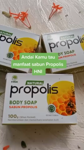 Sabun Propolis HNI Atasi Gatal Alergi Tubuh 100 gr