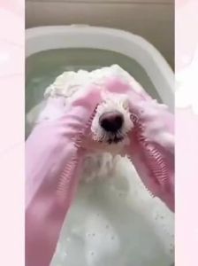 Soft Silicone Pet Bath Grooming Gloves for Dog Cat