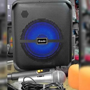 BRODU BTS-1740 BLUETOOTH SPEAKER KARAOKE 2 MICROPHONE
