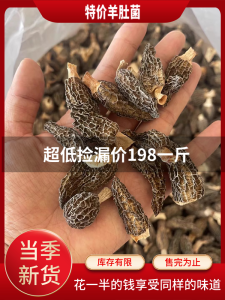 Special Offer Dried Morchella 500G Yunnan Specialty Edible Fungus Pot Mushroom Soup Ingredients Damaged Goat Tripe Mushroom Morchella