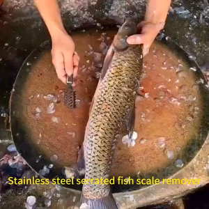 BECORATE 304 Stainless Steel Fish Scale Cleaner Sharp Strong Cleaning Force Kitchen Processing Tool Utensils 19.8cm X 3.6cm