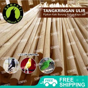 SEMPATI Tangkringan Ulir Kayu Jati Ukuran 50 Cm Pangkringan Anti Slip Burung Kenari Lovebird Blackthroat Kacer Cucak Dll TKULIR (isi 1 pcs)